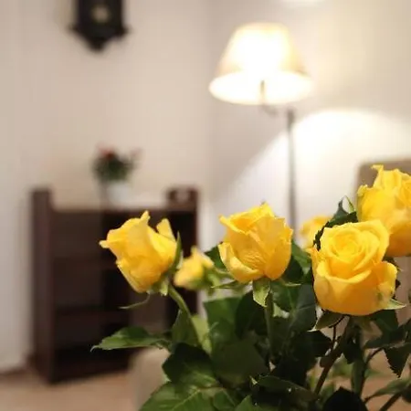 Poznanska 24, Comfort-plus Apartment, Centrum Daire Varşova